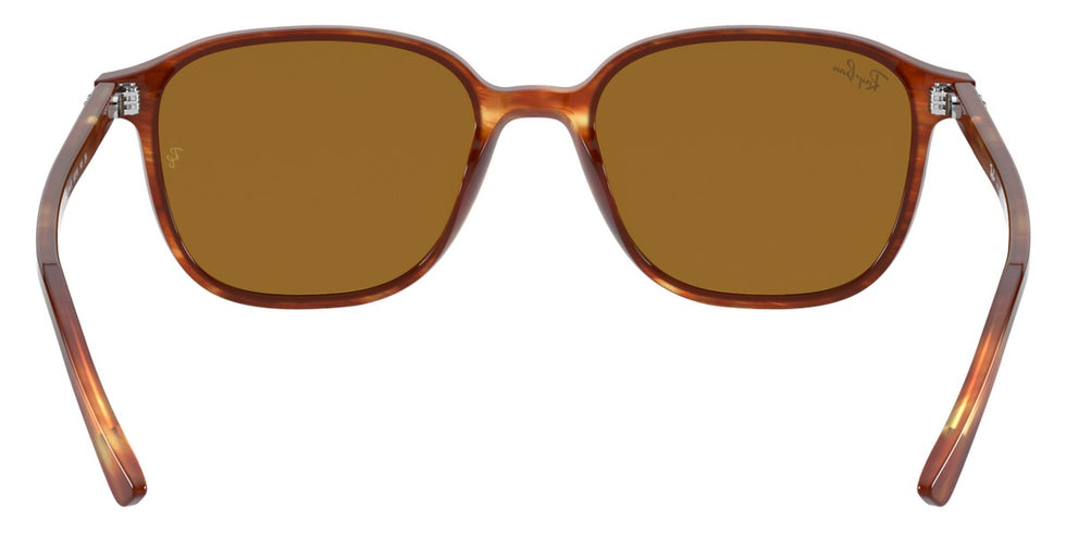 Ray-Ban® Leonard RB2193 Sunglasses