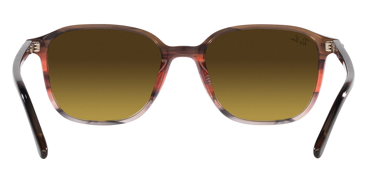 Ray-Ban® Leonard RB2193F Sunglasses