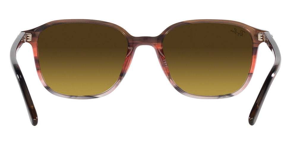 Ray-Ban® Leonard RB2193F Sunglasses