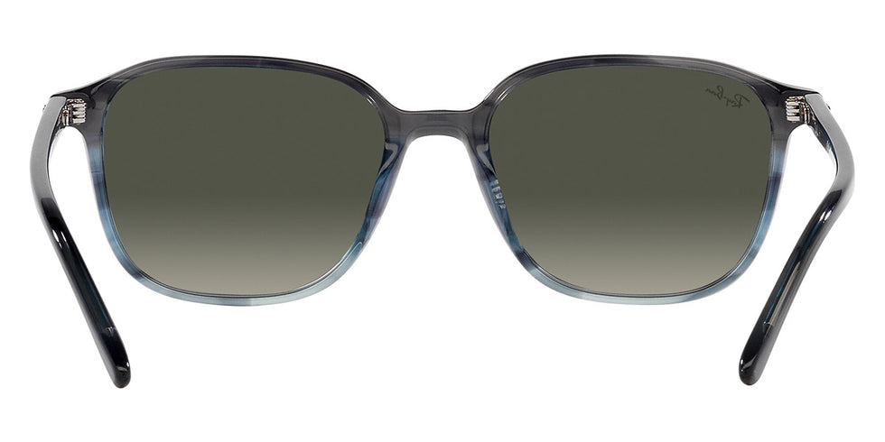 Ray-Ban® Leonard RB2193F Sunglasses