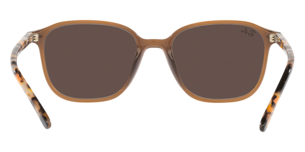 Ray-Ban® Leonard RB2193F Sunglasses
