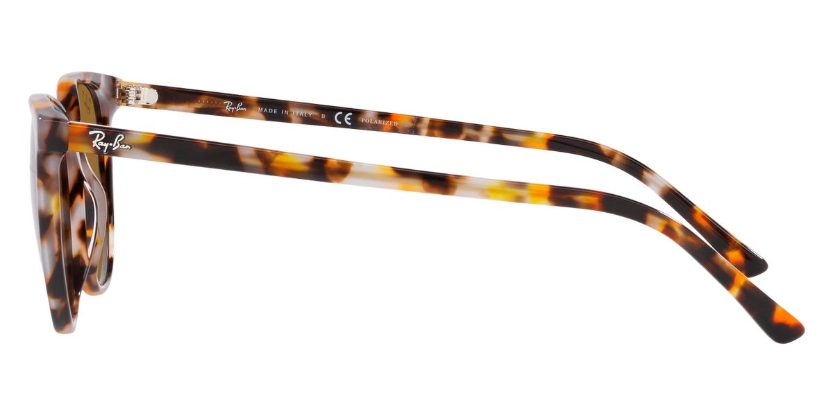 Ray-Ban® Elliot RB2197 Sunglasses