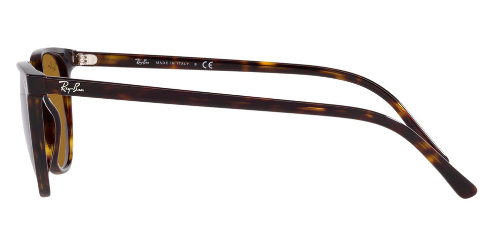 Ray-Ban® Elliot RB2197 Sunglasses