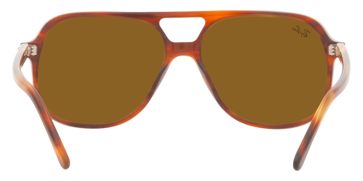 Ray-Ban® Bill RB2198 Sunglasses