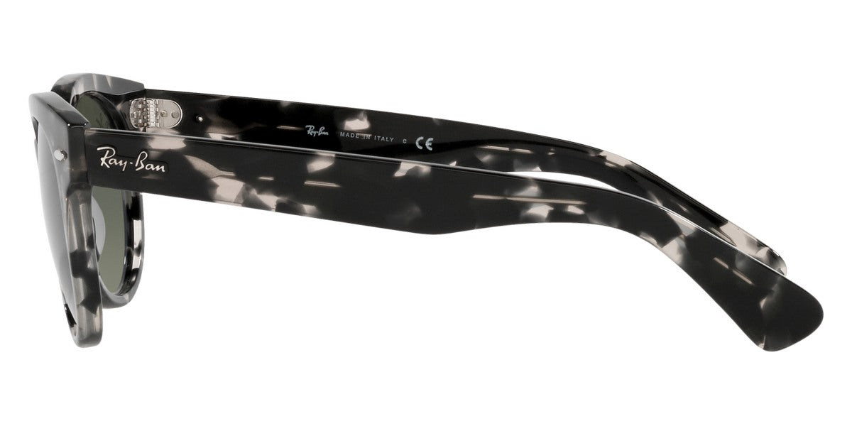 Ray-Ban® Orion RB2199 Sunglasses