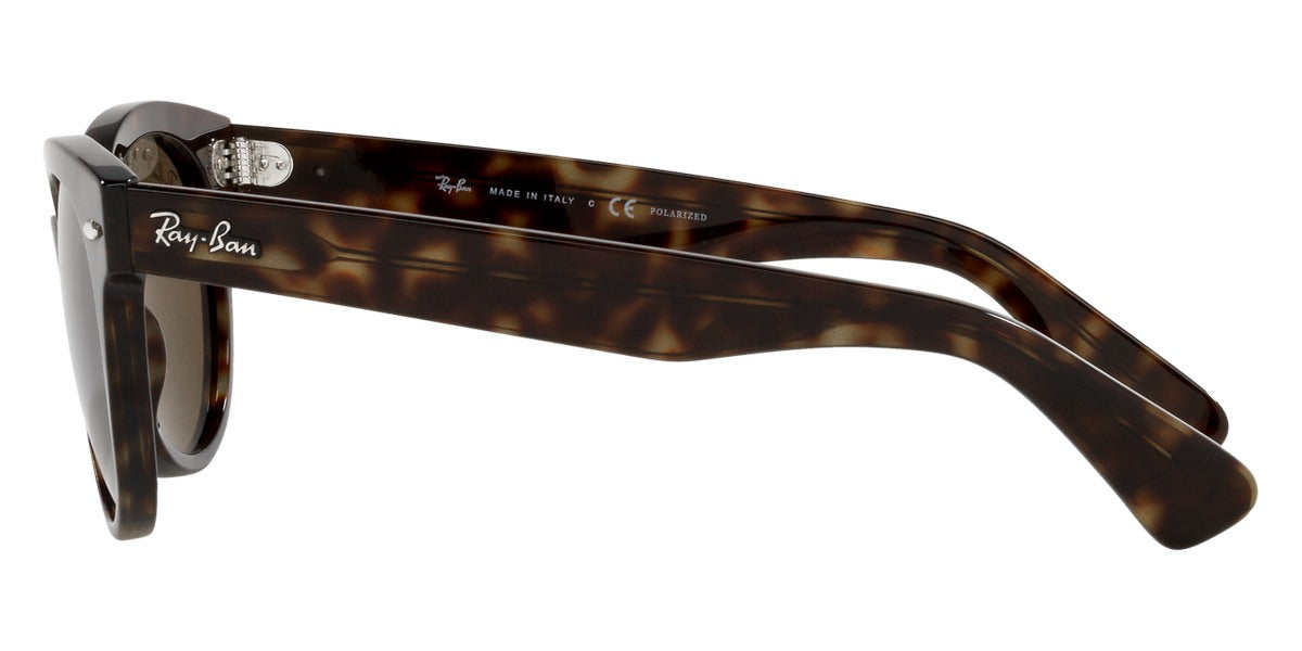 Ray-Ban® Orion RB2199 Sunglasses