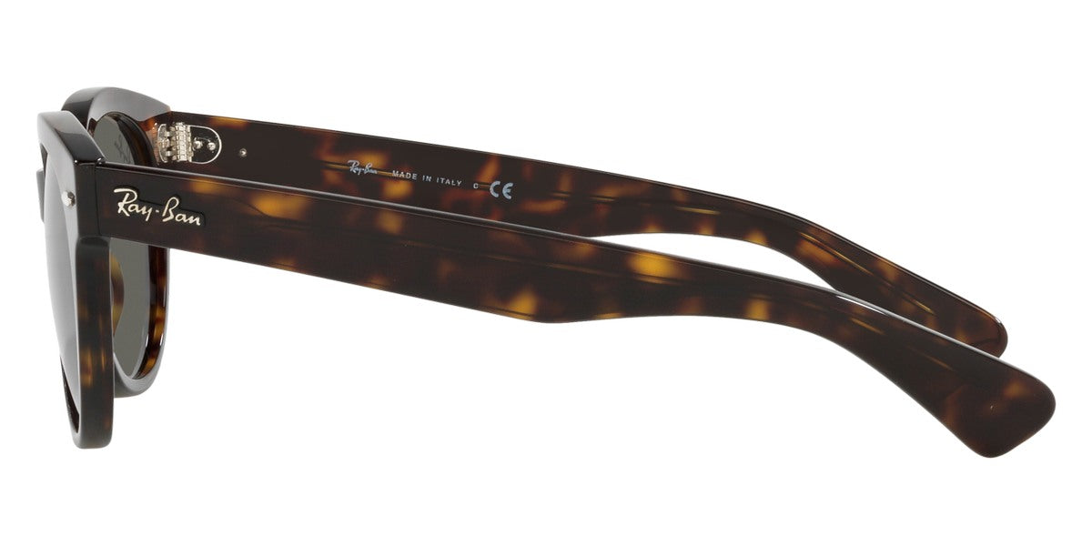 Ray-Ban® Orion RB2199 Sunglasses