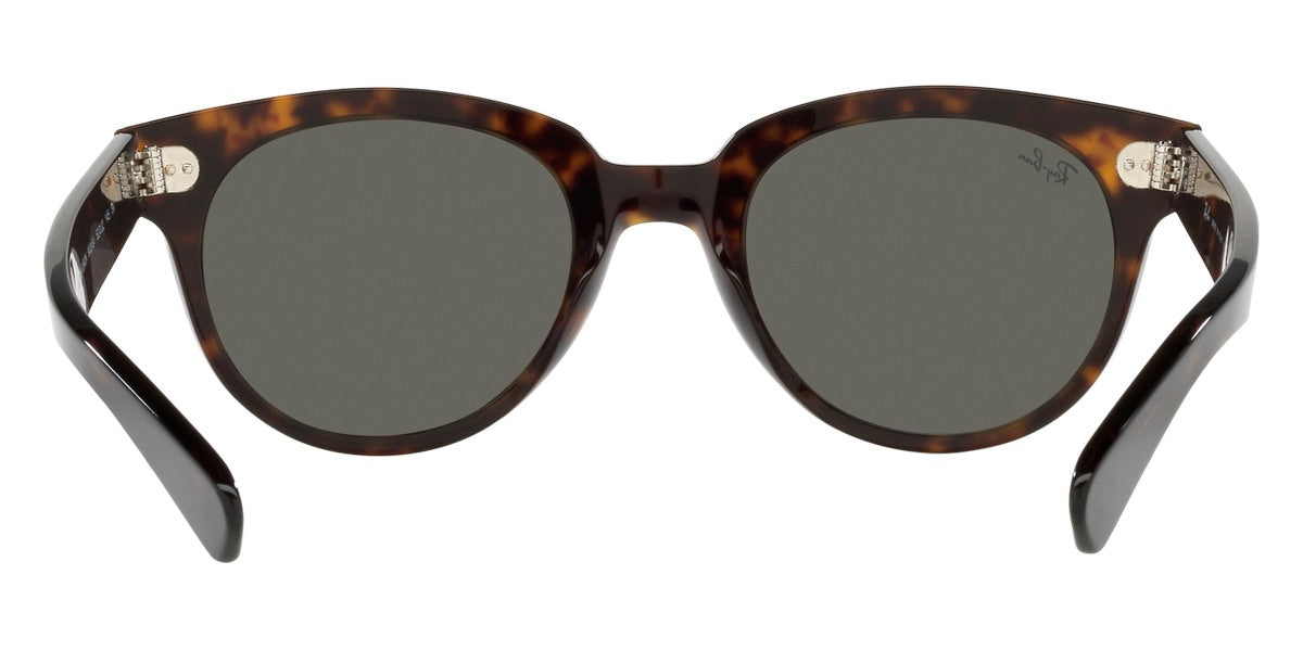 Ray-Ban® Orion RB2199 Sunglasses