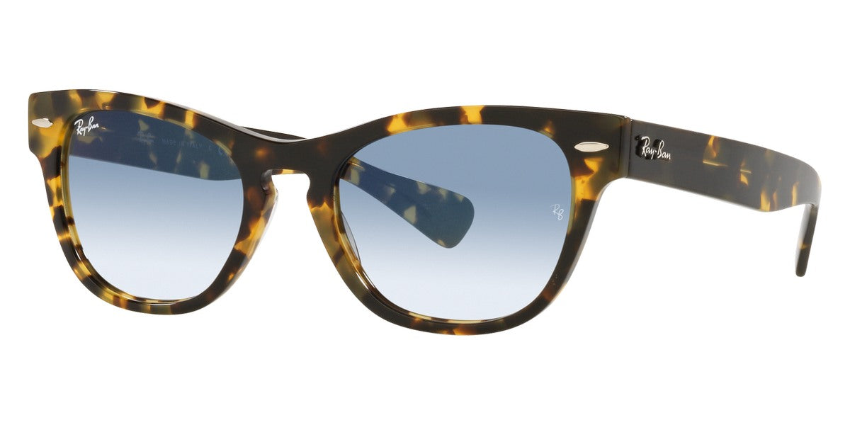 Ray-Ban® Laramie RB2201 Sunglasses