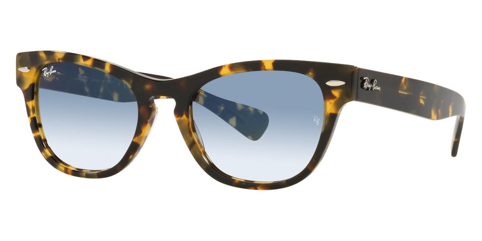 Ray-Ban® Laramie RB2201 Sunglasses