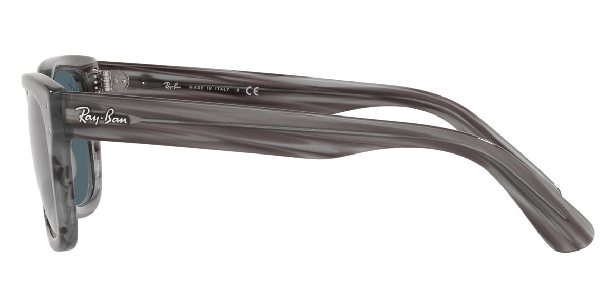 Ray-Ban® Mr BuRBank RB2283 Sunglasses