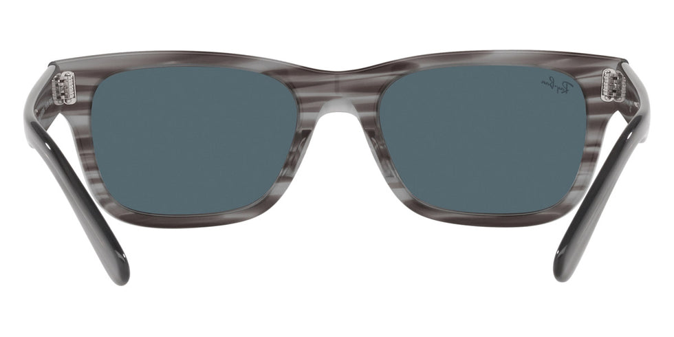 Ray-Ban® Mr BuRBank RB2283 Sunglasses
