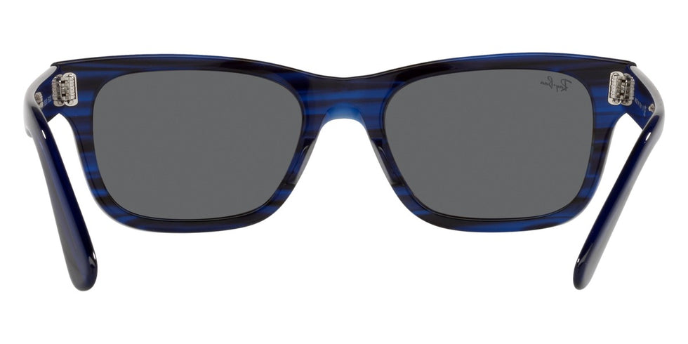 Ray-Ban® Mr BuRBank RB2283 Sunglasses