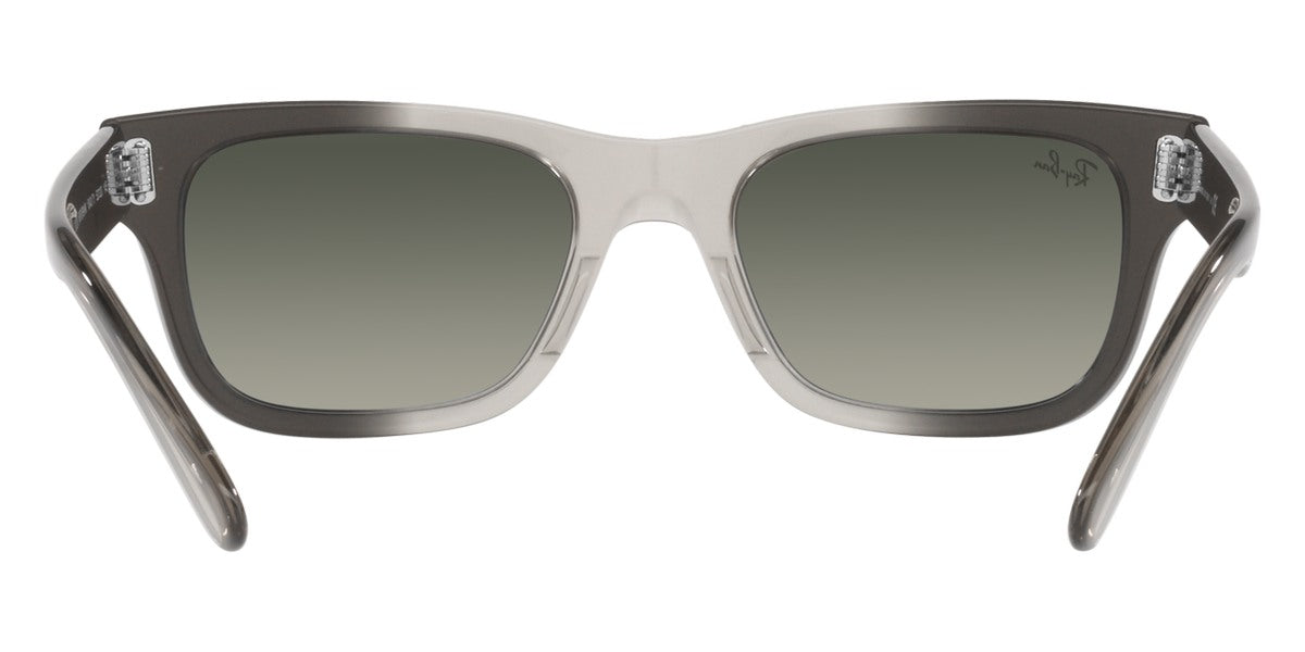 Ray-Ban® Mr BuRBank RB2283 Sunglasses