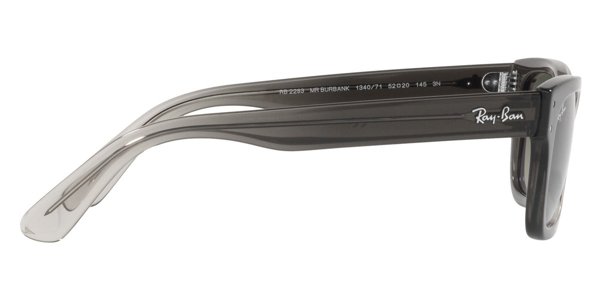 Ray-Ban® Mr BuRBank RB2283 Sunglasses