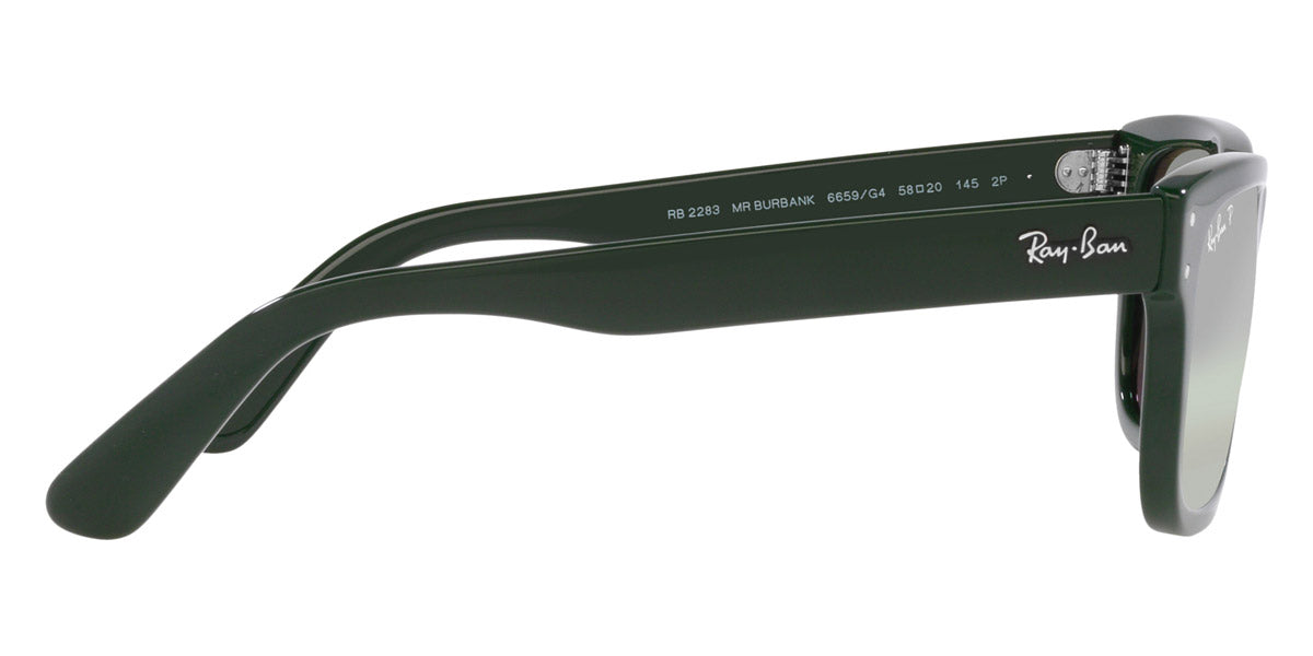 Ray-Ban® Mr BuRBank RB2283 Sunglasses