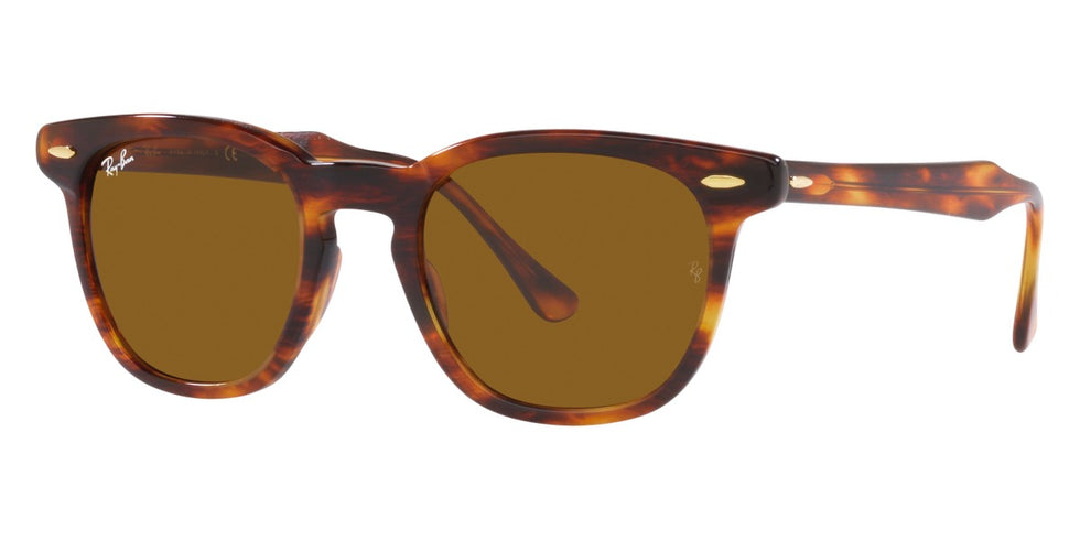 Ray-Ban® Hawkeye RB2298F Sunglasses
