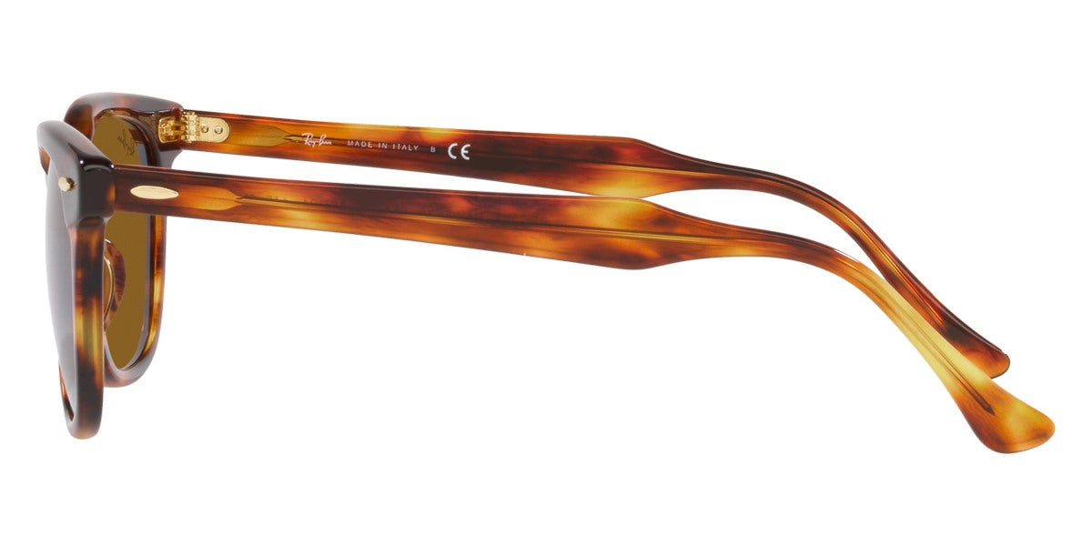 Ray-Ban® Hawkeye RB2298F Sunglasses