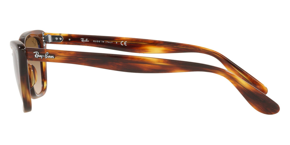 Ray-Ban® Lady BuRBank RB2299 Sunglasses