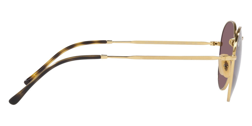 Ray-Ban® David RB3582 Sunglasses