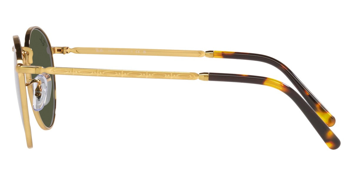 Ray-Ban® New Round RB3637 Sunglasses