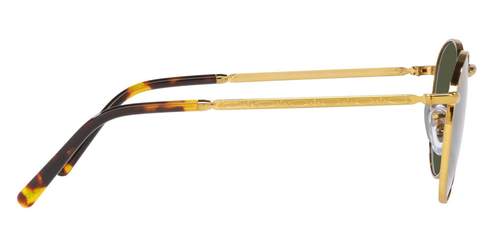Ray-Ban® New Round RB3637 Sunglasses