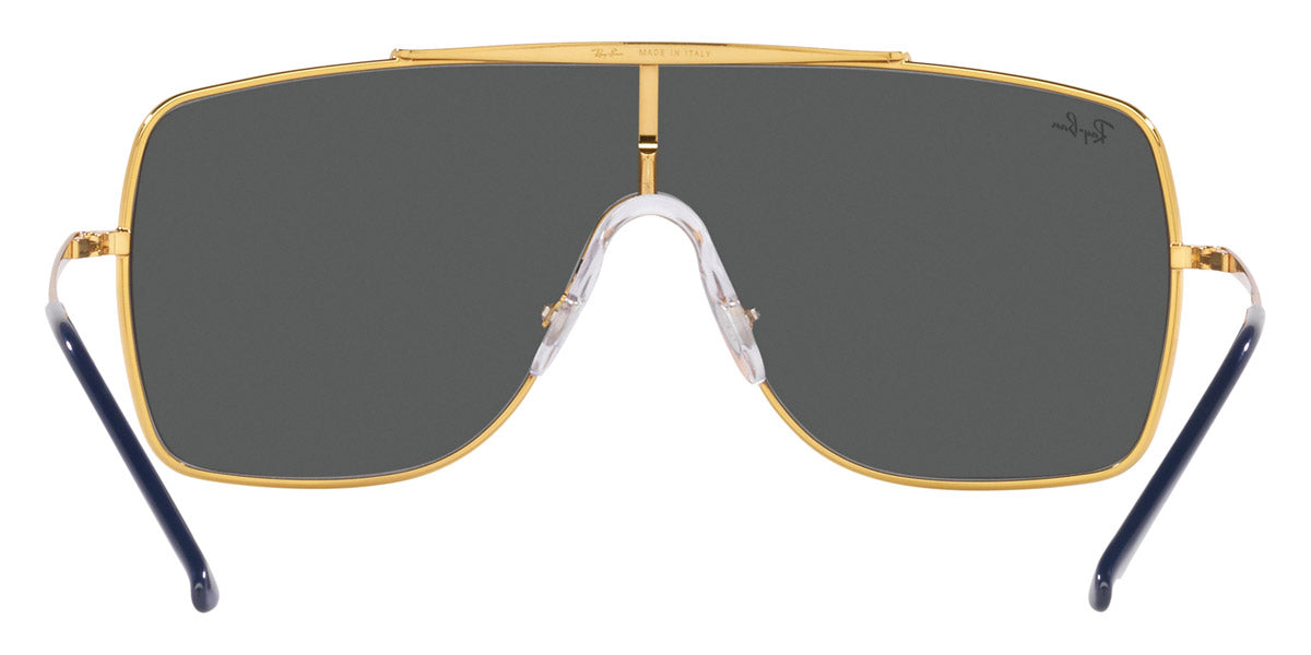 Ray-Ban® Wings Ii RB3697 Sunglasses