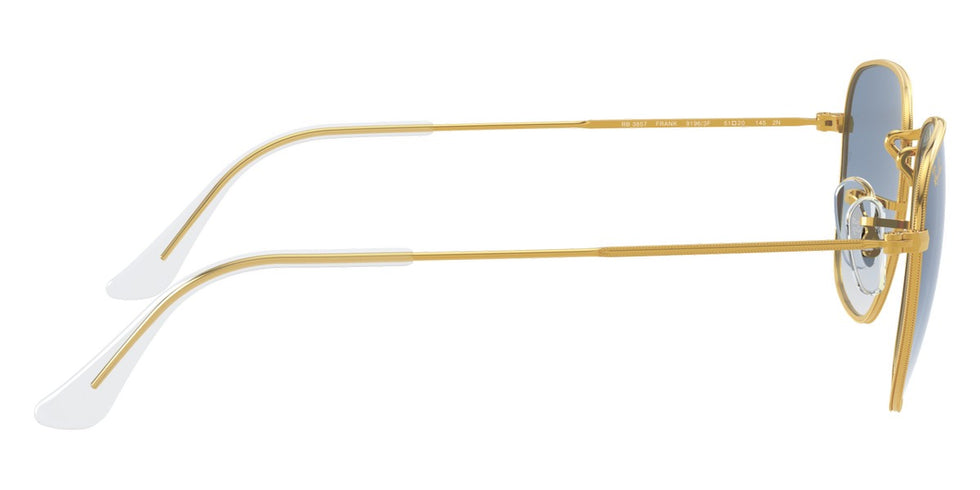 Ray-Ban® Frank RB3857 Sunglasses