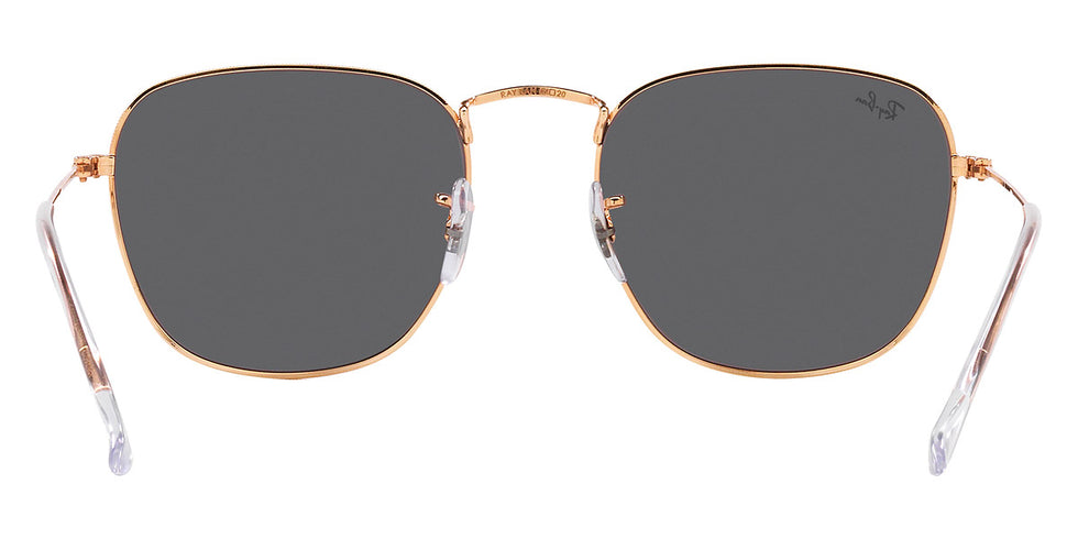 Ray-Ban® Frank RB3857 Sunglasses