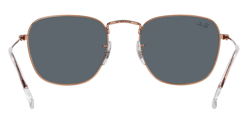 Ray-Ban® Frank RB3857 Sunglasses