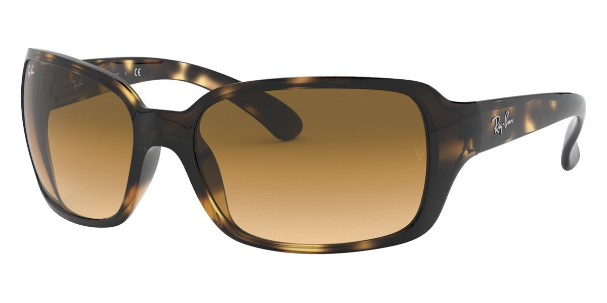 Ray-Ban® RB4068 RB4068 Sunglasses