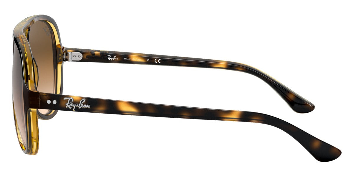 Ray-Ban® Cats 5000 RB4125 Sunglasses