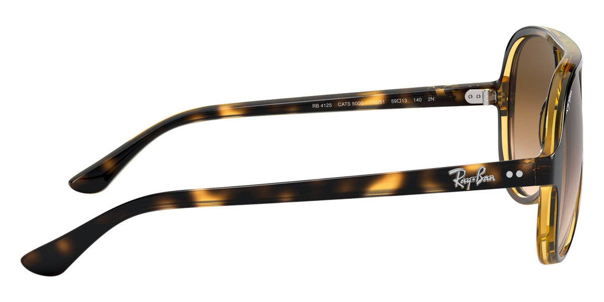 Ray-Ban® Cats 5000 RB4125 Sunglasses