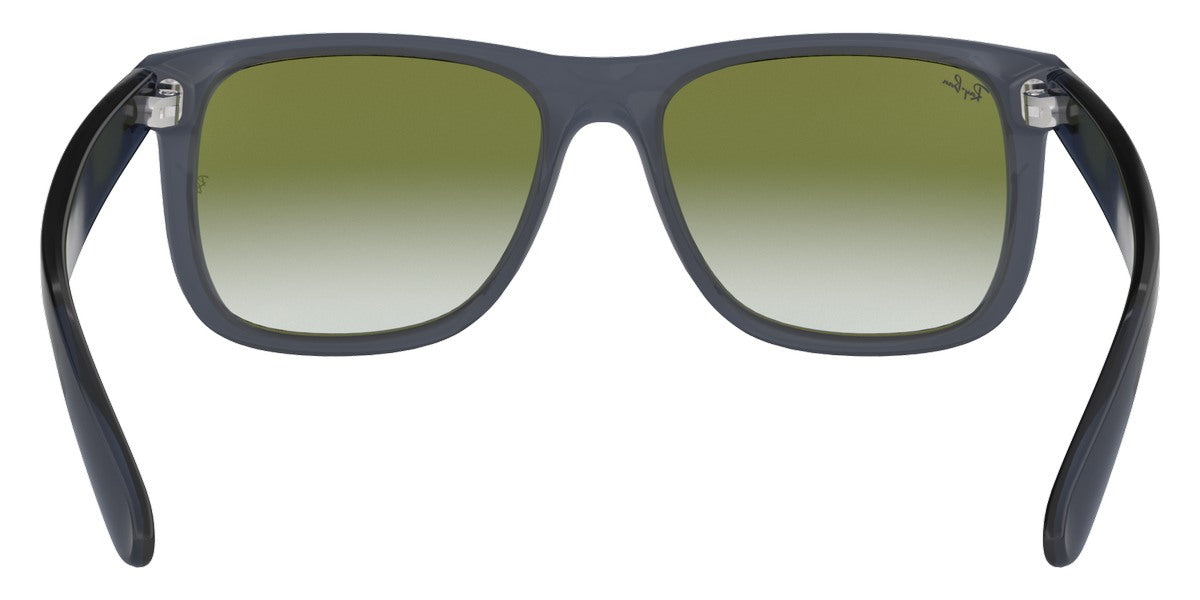 Ray-Ban® Justin RB4165 Sunglasses