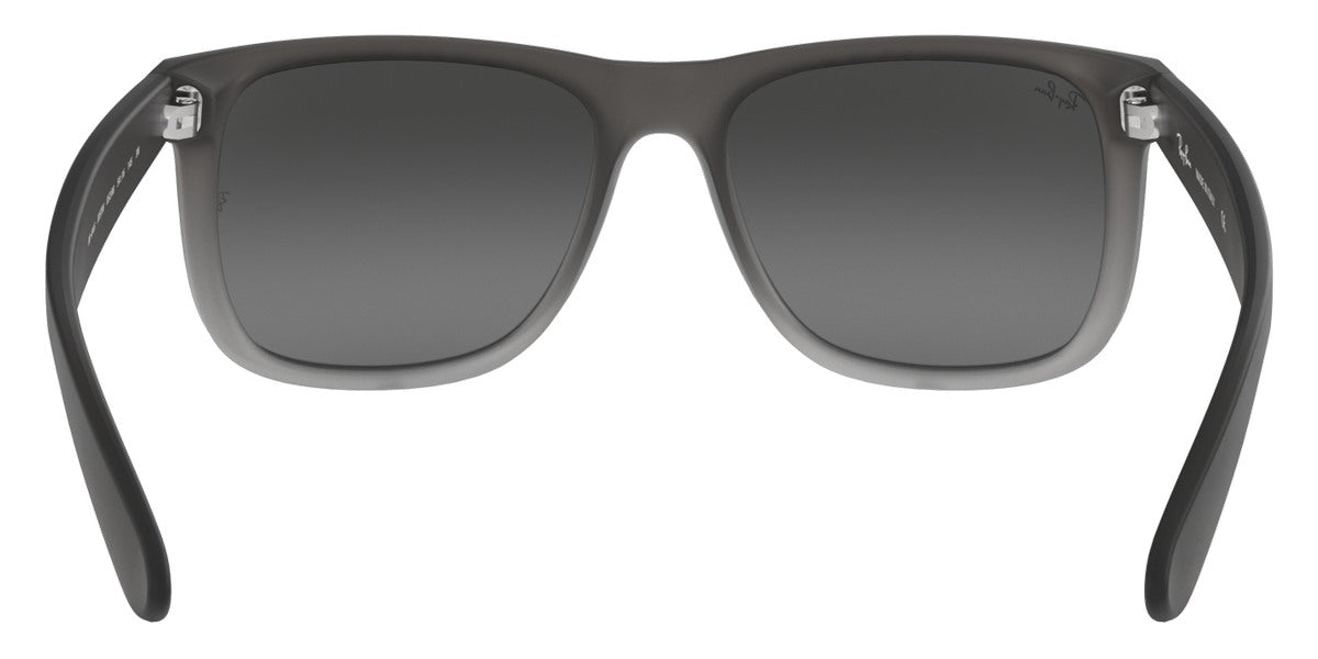 Ray-Ban® Justin RB4165 Sunglasses