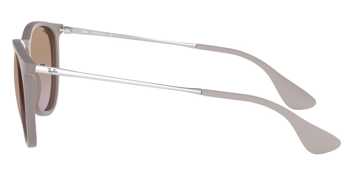 Ray-Ban® Erika RB4171 Sunglasses