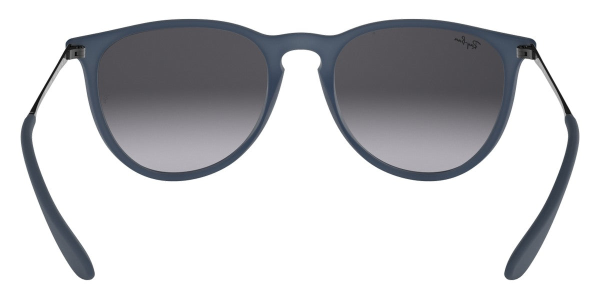 Ray-Ban® Erika RB4171 Sunglasses