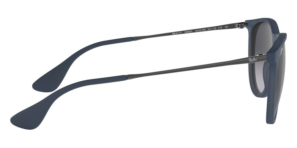 Ray-Ban® Erika RB4171 Sunglasses