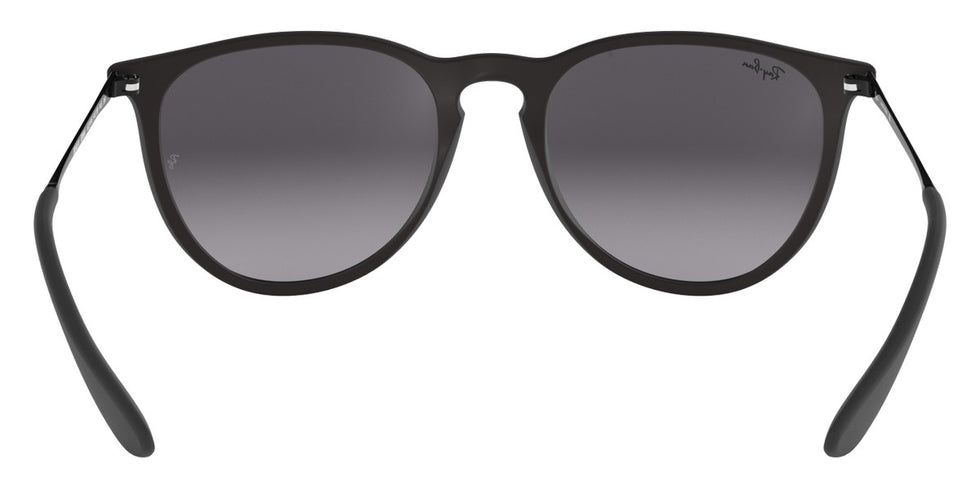 Ray-Ban® Erika RB4171 Sunglasses