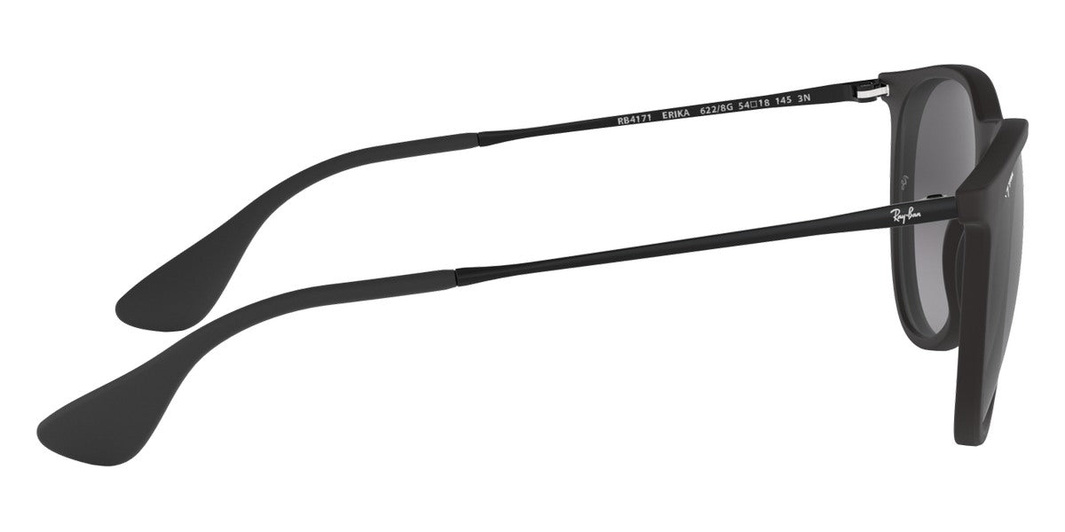 Ray-Ban® Erika RB4171 Sunglasses