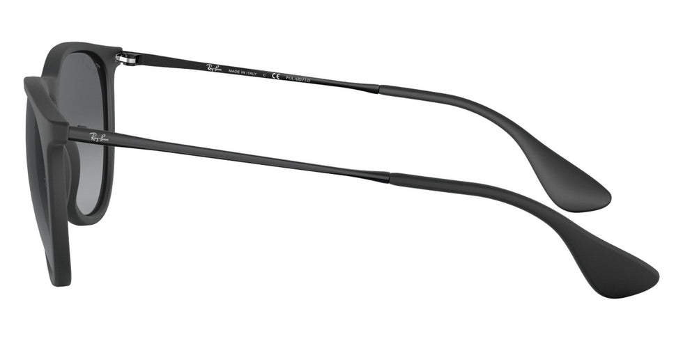 Ray-Ban® Erika RB4171 Sunglasses