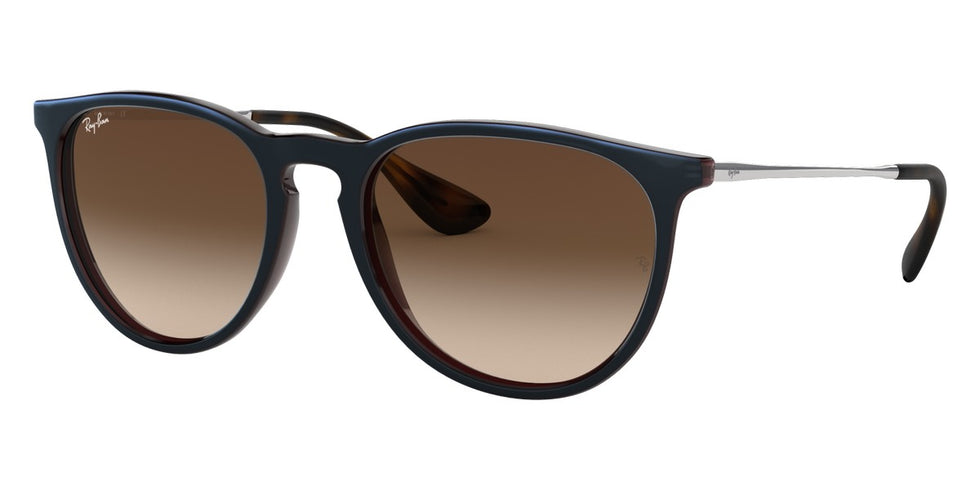 Ray-Ban® Erika RB4171 Sunglasses