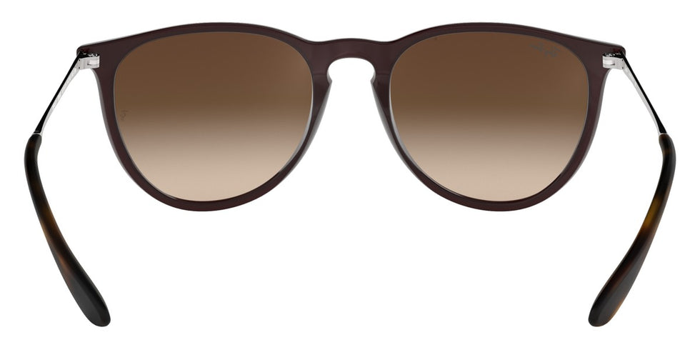 Ray-Ban® Erika RB4171 Sunglasses