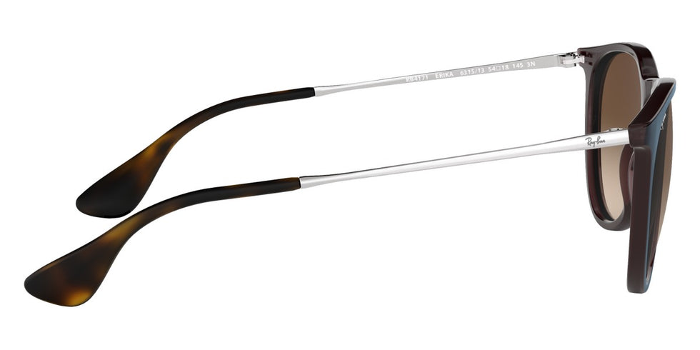 Ray-Ban® Erika RB4171 Sunglasses
