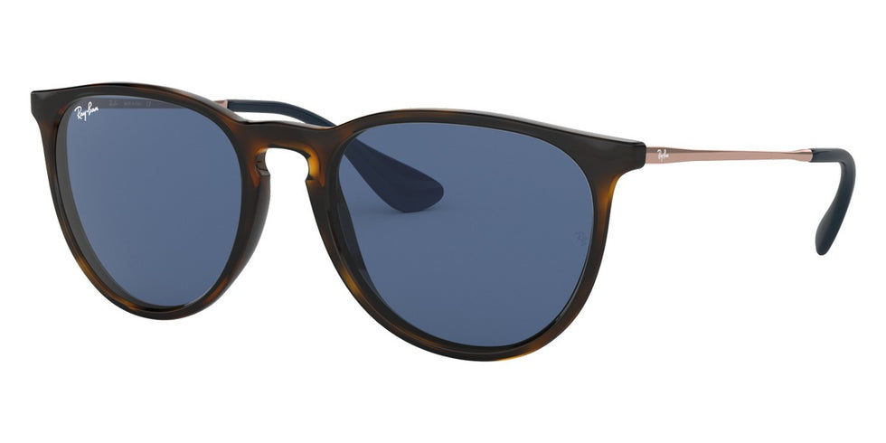 Ray-Ban® Erika RB4171 Sunglasses