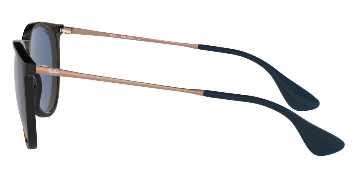 Ray-Ban® Erika RB4171 Sunglasses