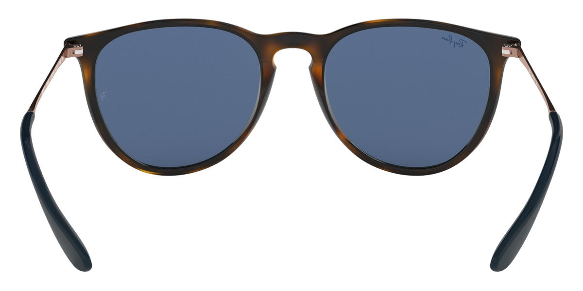 Ray-Ban® Erika RB4171 Sunglasses