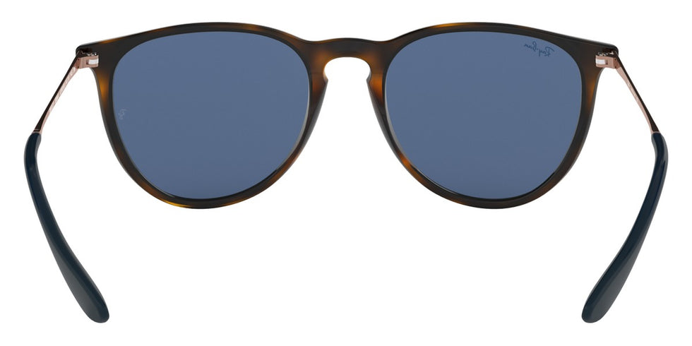 Ray-Ban® Erika RB4171 Sunglasses