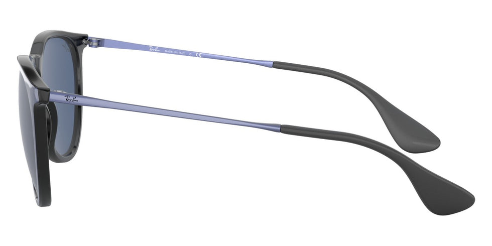 Ray-Ban® Erika RB4171 Sunglasses