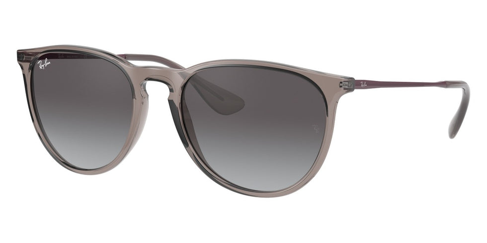 Ray-Ban® Erika RB4171 Sunglasses